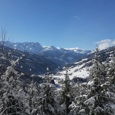 Alpenrose Hotel-garni