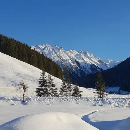 Szálloda Alpenrose Hotel-garni Gerlos